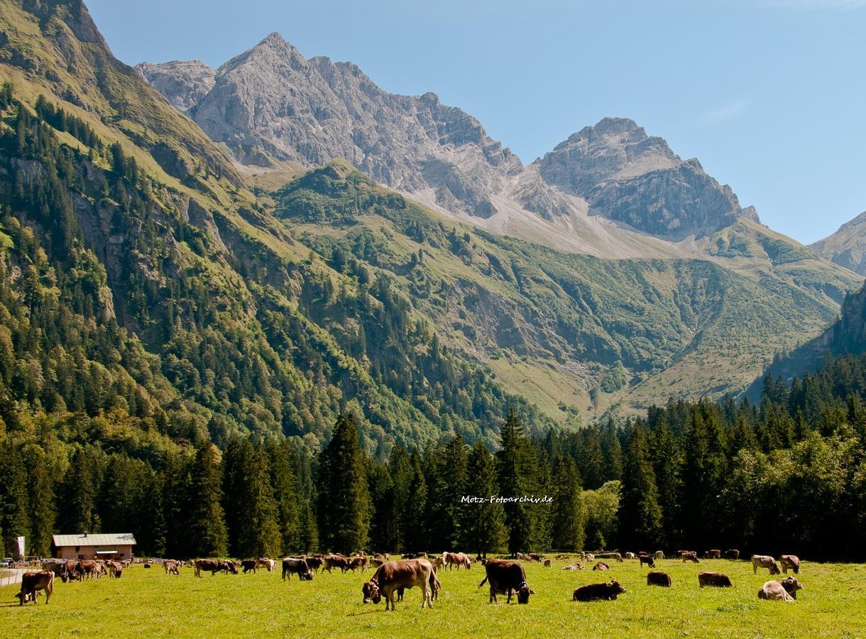 Landhaus Aigner-Vogler Fischen im Allgaeu Екстер'єр фото